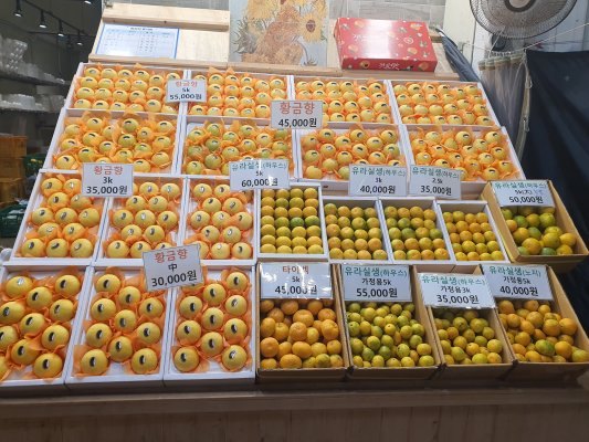 칠십리제주